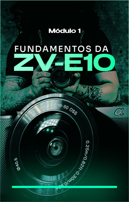 Modulos-Sony-ZVE101.jpg