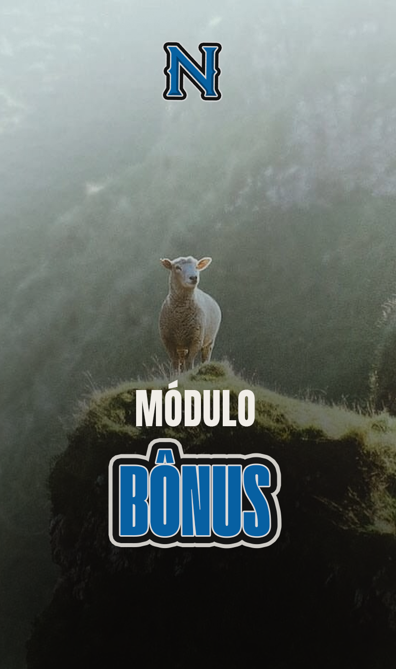 MODULO-BONUS